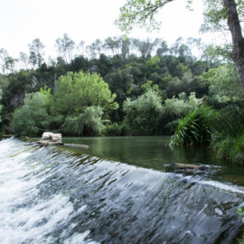 Villa Du Clos de Mingeaud villa-piscine-vacances-en-provence-15-270x270 Home 